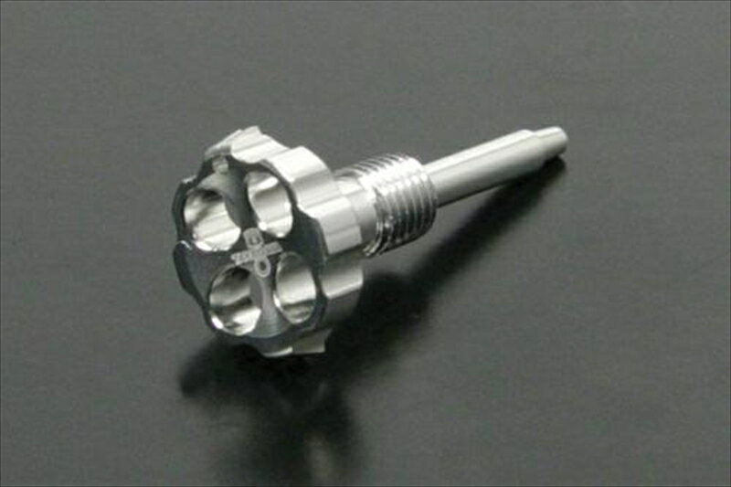 【5日前後で発送】バイクパーツ SP TAKEGAWA(スペシャルパーツタケガワ) エアースクリュー シルバー 03-03-00274514162194690