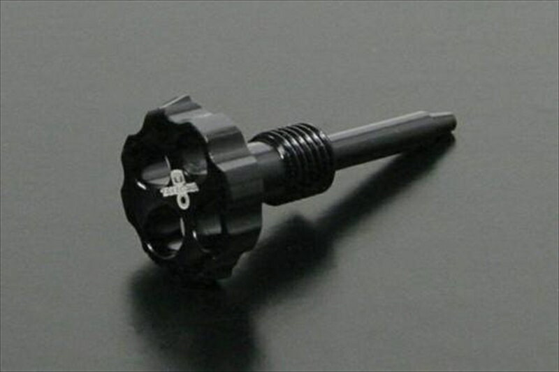 バイクパーツ SP TAKEGAWA(スペシャルパーツタケガワ) エアースクリュー ブラック 03-03-00324514162194744