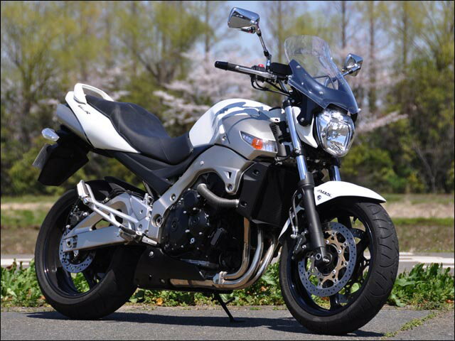 バイク用品 外装 スクリーンシックデザイン GUYRAシールド クリア GSR400 600 ABS 06- 06-10CHIC DESIGN GS74 取寄品 2