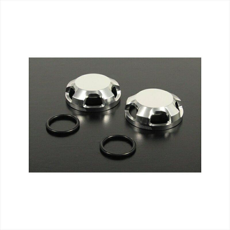バイクパーツ スペシャルパーツタケガワ フォークボルトキャップTYPE-1/シルバー06-02-0050 4514162209660CB400(NC47) NC700
