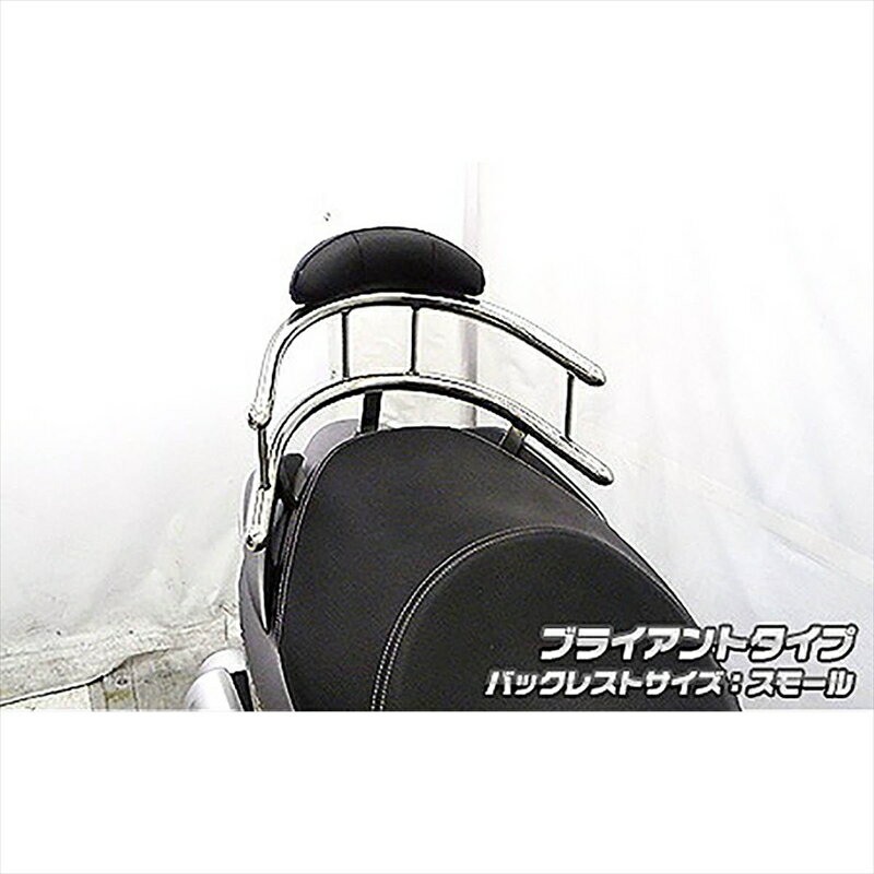 バイクパーツ 外装ウイルズウィン バックホールドタンデムバー BRY/S 1573-03-51 4549950184829バーグ..