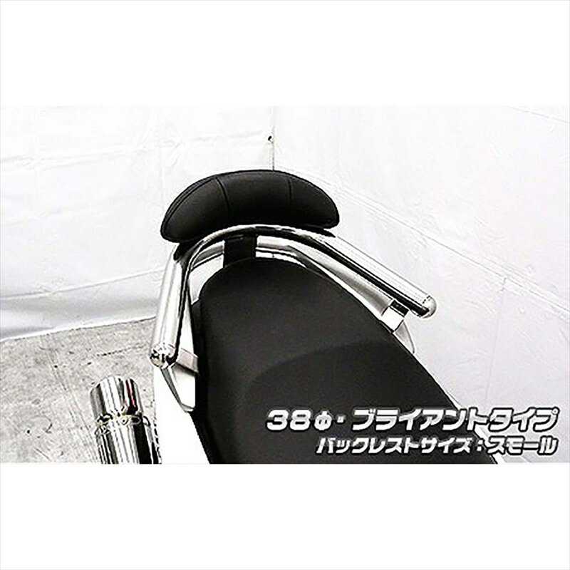 バイクパーツ 外装ウイルズウィン Bレスト付タンデムバー BRY/38/S 1693-02-51 4549950243205NMAX 2BJ-..