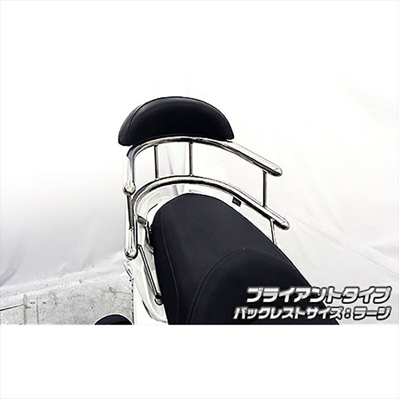 バイクパーツ 外装ウイルズウィン Bホールドタンデムバー BRY/L 2093-03-01 4550255211516マジェスティ..