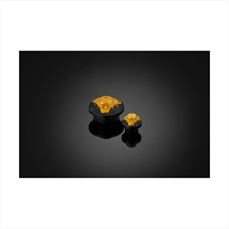バイクパーツBIKERS(バイカーズ) エンジンプラグ 2個 ライトゴールド K0230-LGD4548916442904Ninja250/400 18-24