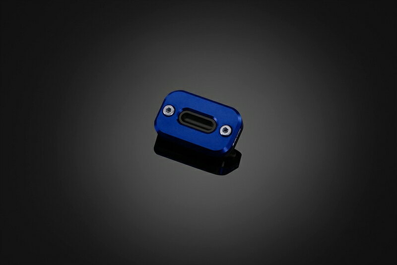 バイクパーツBIKERS(バイカーズ) リアマスターシリンダーキャップ ブルーY0201-BLU4548916701131