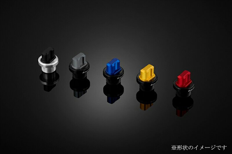 バイクパーツBIKERS(バイカーズ) オイルフィラーキャップ シルバー Y0315-SLV4550255210540XMAX 18-24