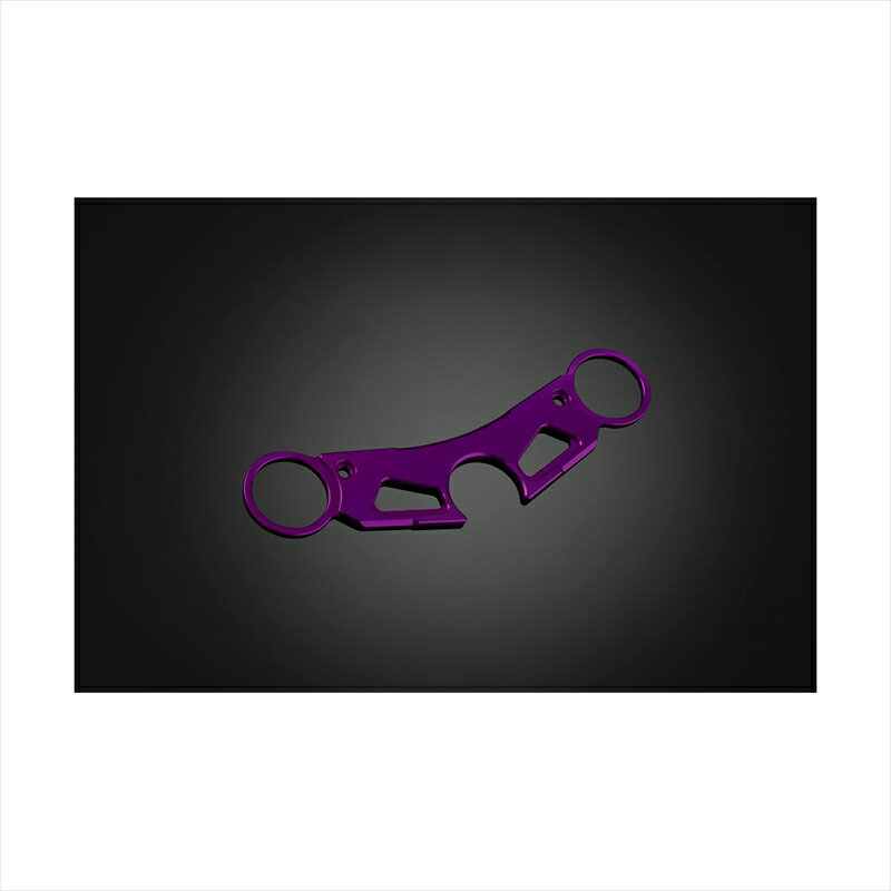 バイクパーツBIKERS(バイカーズ) トップブリッジカバープレート パープル Y0168-PUR4548916676910YZF-R25/R3 15-18