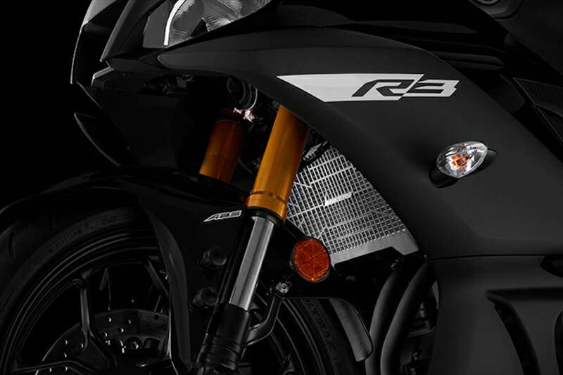 バイクパーツBIKERS(バイカーズ) ラジエターガード ステンレス チタンコート ブラックY0154-BLK4548916458134