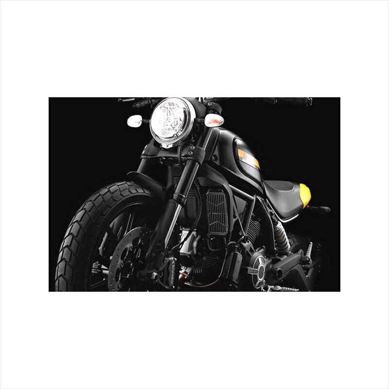 バイクパーツBIKERS(バイカーズ) ステンレス コアガード チタンコート ブラック D0036-BLK4548916773893DUCATI Scrambler 15-17