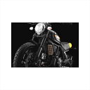 バイクパーツBIKERS(バイカーズ) ステンレス コアガード チタンコート ゴールド D0036-GLD4548916773916DUCATI Scrambl...