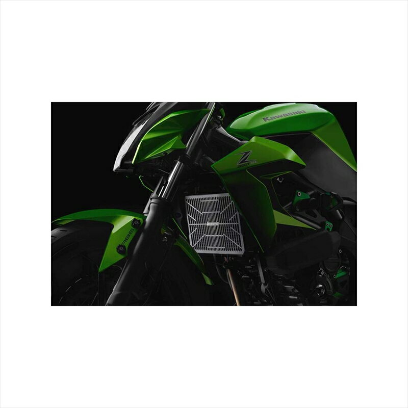 バイクパーツBIKERS(バイカーズ) ラジエターガード ステンレス チタンコート ブラック K0344-BLK4548916774647Ninja250SL/Z250SL 15-17