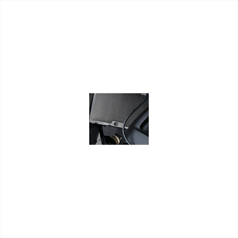 バイクパーツ 冷却系アールアンドジー ラジエターガード オレンジRG-RAD0248OR 4580041235693KTM 790Adventure 19-