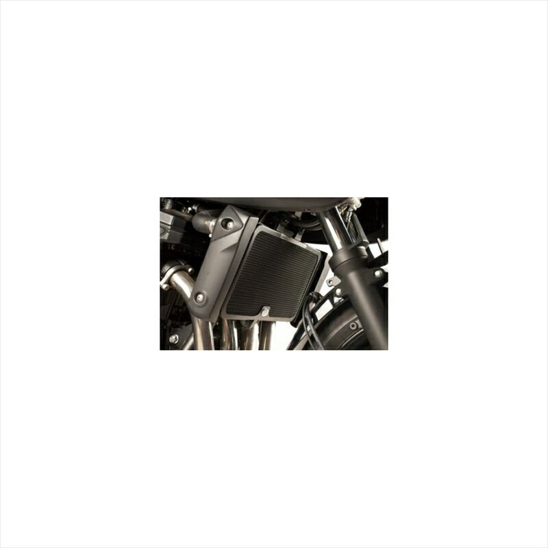 バイクパーツ 冷却系アールアンドジー ラジエターガード ブラックRG-RAD0110BK 4571381480676Bandit650 10-