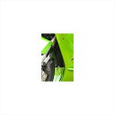 バイクパーツ 冷却系アールアンドジー ラジエターガード ブラックRG-RAD0137BK 4571381483004ZX-12R 02-06