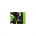 バイクパーツ 冷却系アールアンドジー ラジエターガード ブラックRG-RAD0139BK 4571381483240NINJA250R 08-12・NINJA2...
