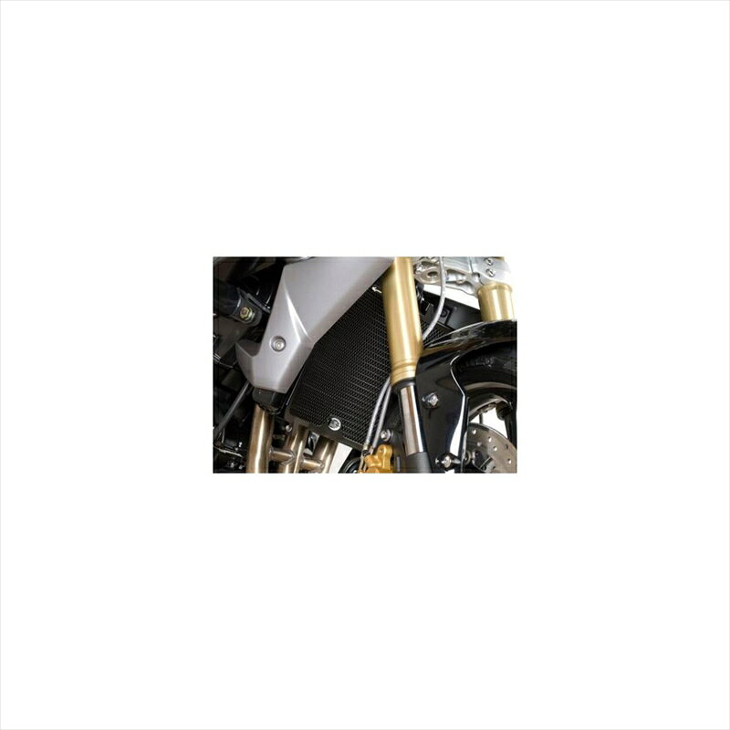 バイクパーツ 冷却系アールアンドジー ラジエターガード ブラックRG-RAD0142BK 4571381484087TRIUMPH Street Triple675 13-15