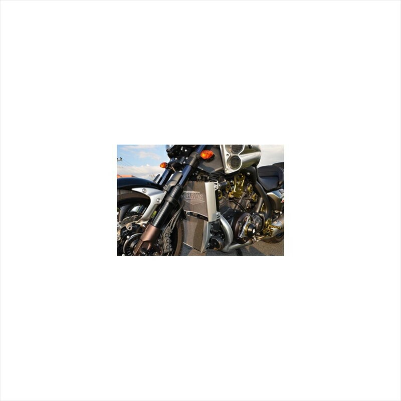 バイクパーツ 冷却系アグラス コアガード Bタイプ/ロゴ無 309-272-B00 4548916058815V-MAX1700