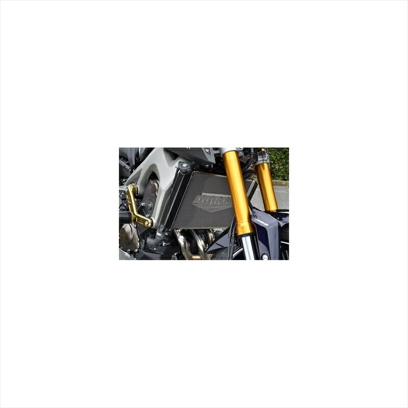 バイクパーツ 冷却系アグラス ラジエターコアガード+スクープカバー 309-273-B01 4548916221349MT-09 コアガードBタイプ/ロゴ無