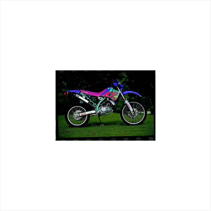 楽天市場】プロスキル サイレンサー kdx125の通販 楽天市場】プロスキル サイレンサー kdx125の通販
