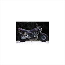バイクパーツNOJIMA ENGINEERING(ノジマエンジニアリング) ファサームS2 フルエキゾースト 4-1 Ca NMB2224547424446459XJR400/S/R ALL