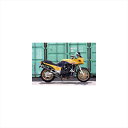 バイクパーツNOJIMA ENGINEERING(ノジマエンジニアリング) ファサームRチタン 4-1SC Ca V NTPX604VC4547424656551GPZ900R ALL