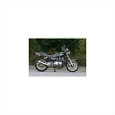 バイクパーツNOJIMA ENGINEERING(ノジマエンジニアリング) ファサームプロチタン 4-1SC Ti VCAT NMTX606VZ-CL4547424656865ZEPHYR750 -08