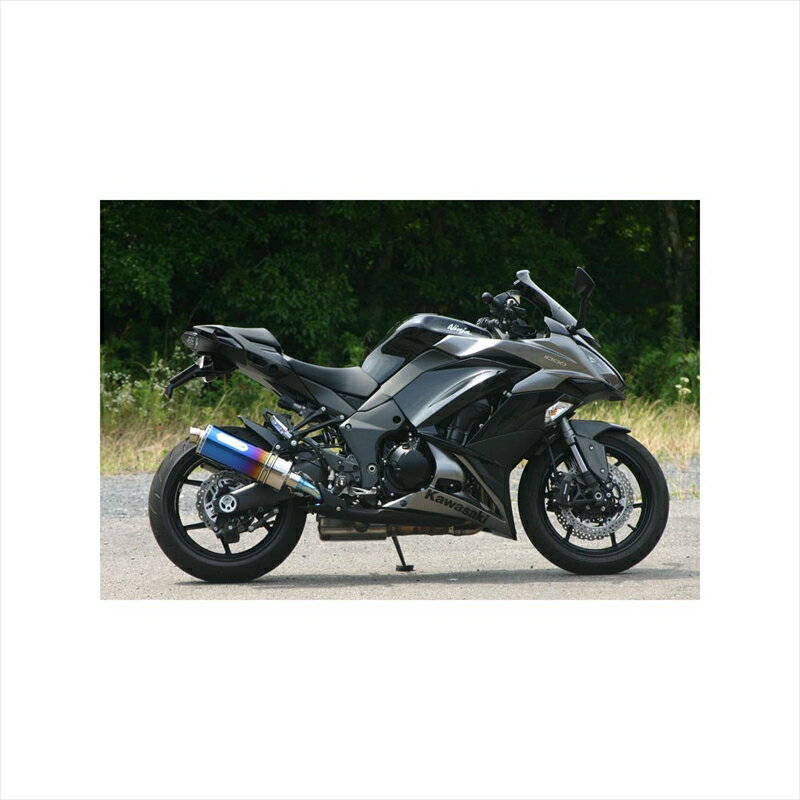 バイクパーツNOJIMA ENGINEERING(ノジマエンジニアリング) HEATチタンスリップオン ツイン ローマウント NT634SGTHWP-CLK4548916719471Ninja1000 11-19/Z1000 10-16