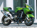 バイク用品 マフラーストライカー ストライカー レーシングコンセプト チタン ミラー ZX-12R6594OT50-M 4548916049776
