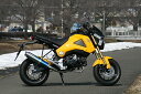 バイク用品 マフラーアールピーエム RPM 80D-RAPTOR Titan GROM6040Z 4582287244293