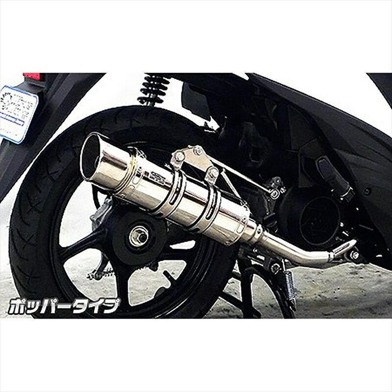 バイクパーツ マフラーウイルズウィン ロイヤルマフラーポッパータイプ1622-59-02 4548916572946アドレス110(EBJ-CE47A)