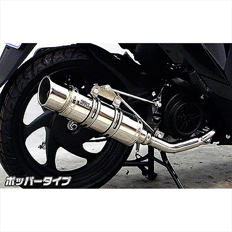 バイクパーツ マフラーウイルズウィン ロイヤルマフラーポッパータイプ1632-59-02 4548916572977ディオ110(EBJ-JF58)