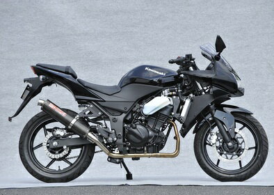 バイクパーツYAMAMOTOレーシング ヤマモト.R ステン/2-1/カーボン UP レース NINJA250R 08-0940251-61SCR 4521717300642
