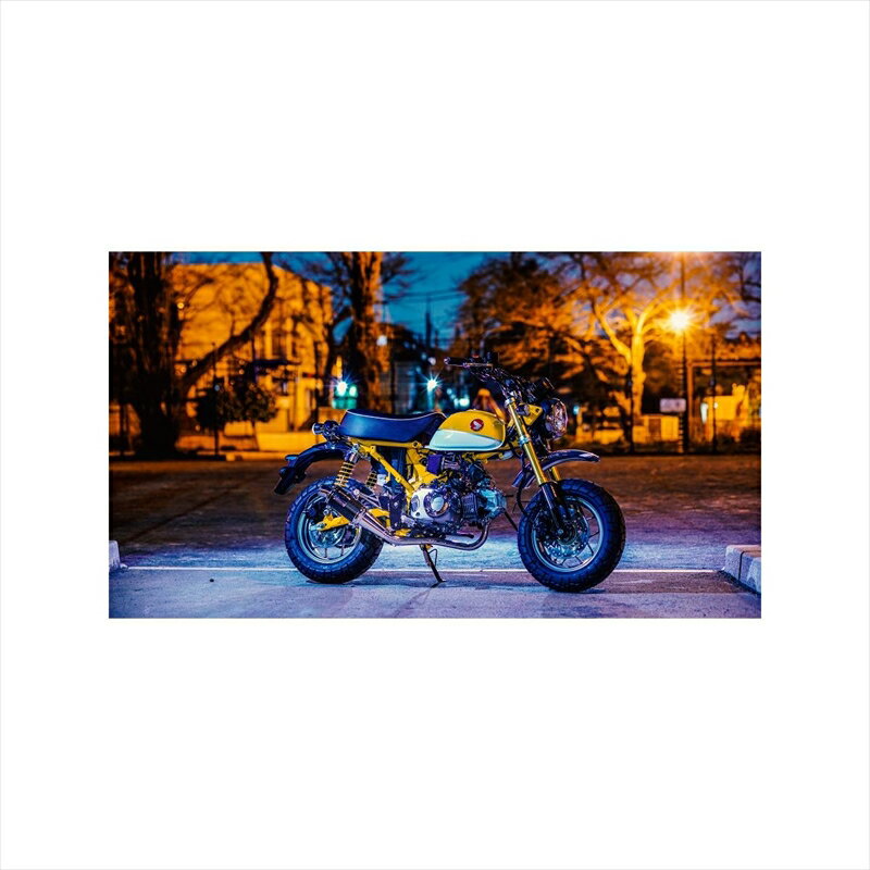 バイクパーツ マフラーホットラップ TYPE520 ダウンマフラー J-520-DN 4550255169954(政府認証) モンキー125