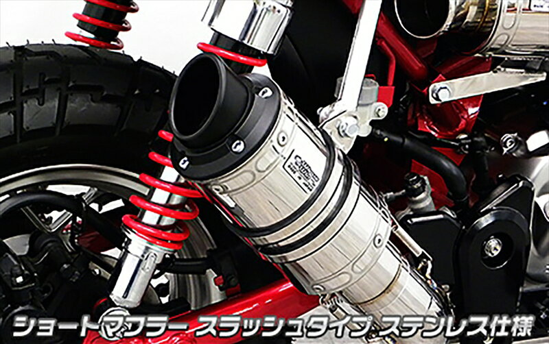 バイクパーツ マフラーWIRUSWIN(ウイルズウィン) ショートマフラー スラッシュ チタン仕様2122-61-054550255336158