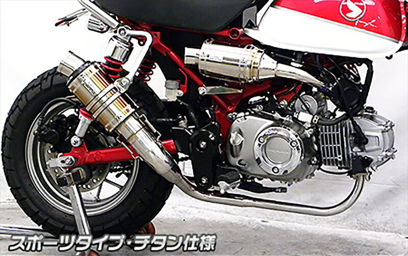 バイクパーツ マフラーWIRUSWIN(ウイルズウィン) ショートマフラー スポーツ チタン仕様2122-61-084550255357580