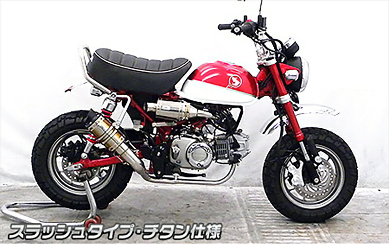 バイクパーツ マフラーWIRUSWIN(ウイルズウィン) ショートマフラー スラッシュ ステンレス仕様2122-61-044550255407278