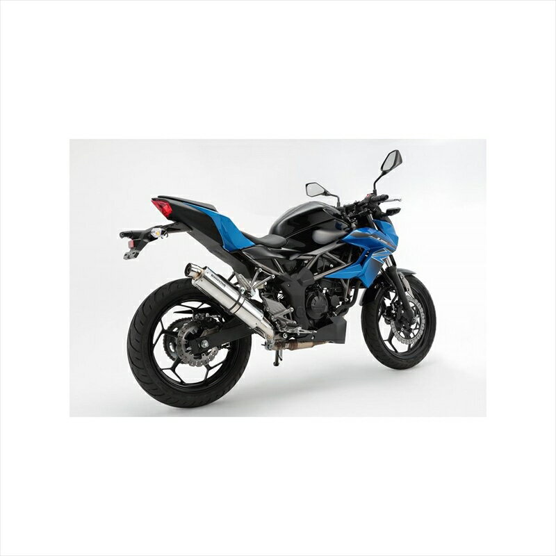 バイクパーツ マフラービームスモーターカンパニー R-EVO スリップオン ステンレス G425-53-P6J 4582285343356Z250SL JBK-BR250E
