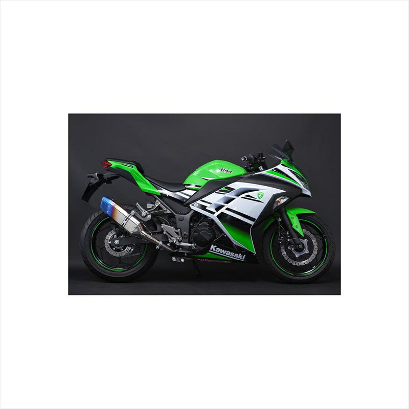 バイクパーツ マフラートリックスター レーシングS/O IKAZUCHI ショート RSS-015D-L6YT 4560417405363Ninja250 13-17