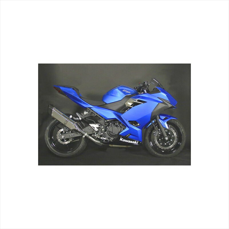 バイクパーツ マフラートリックスター レーシングS/O イカヅチステンカーボン RSS-015E-L4SC 4573269952145Ninja250/400 18-