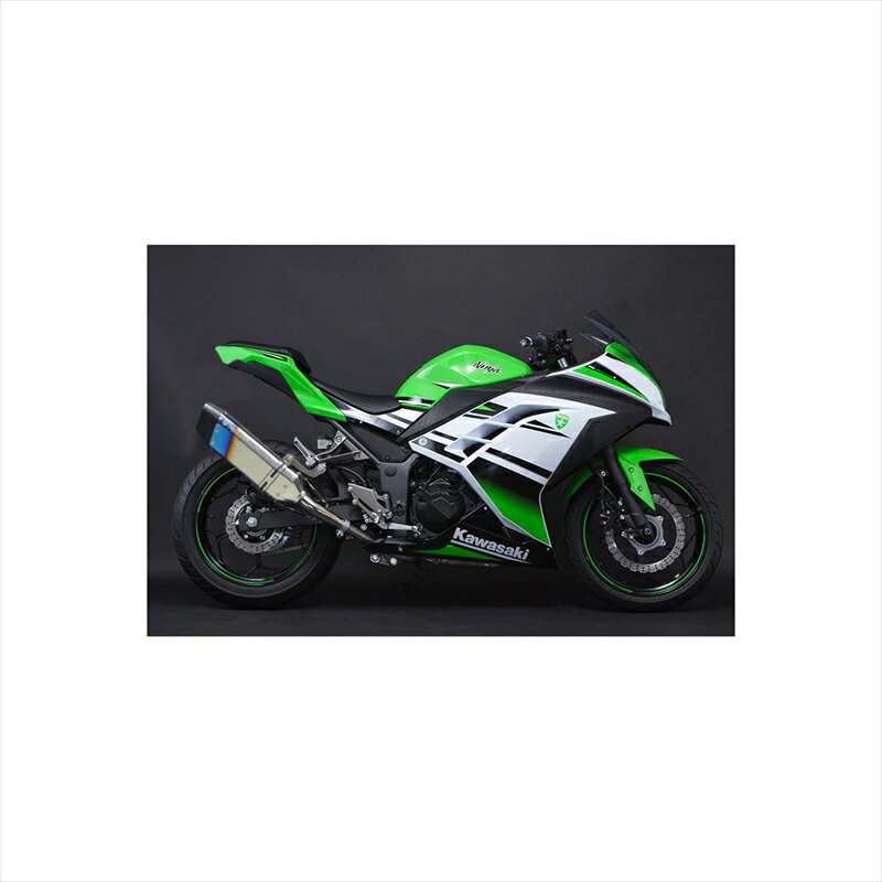 バイクパーツ マフラートリックスター 政府認証S/O イカヅチ焼ステンレス JSS-015D-L4YS 4573269954545Ninja250 13-17