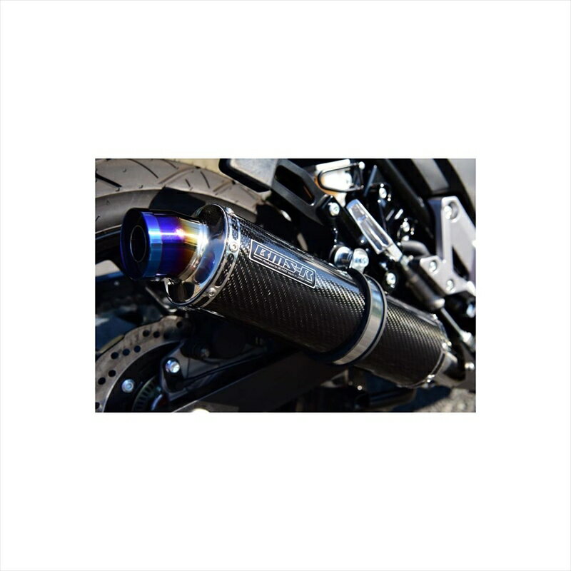 バイクパーツ マフラービームスモーターカンパニー R-EVO スリップオン カーボン G337-53-P2J 4582285344094V-STROM250