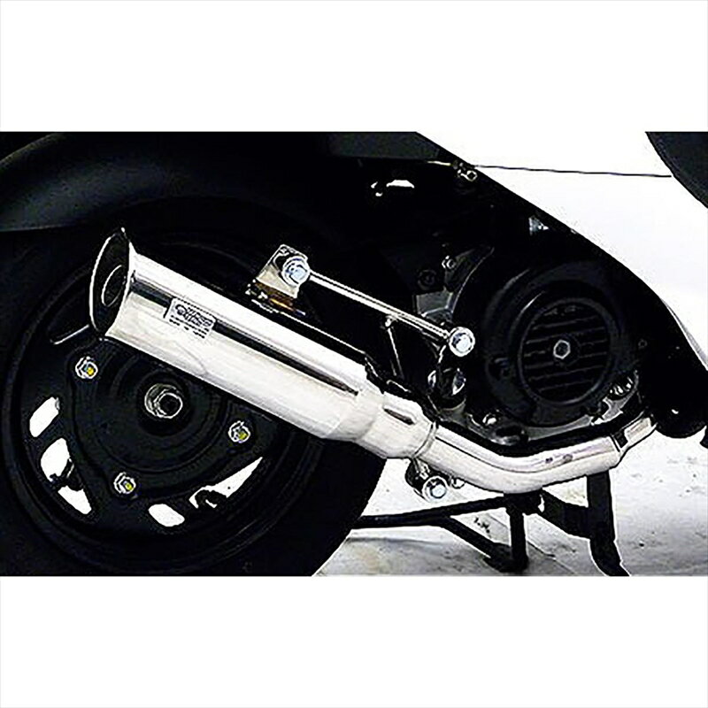 バイクパーツ マフラーウイルズウィン テイストマフラー 512-57-01 4548664706747SYM Xpro 風50