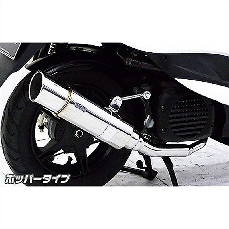 バイクパーツ マフラーウイルズウィン ロイヤルマフラー ポッパー 1132-59-02 45486647865894ストJOG JBH-SA36J/SA39J