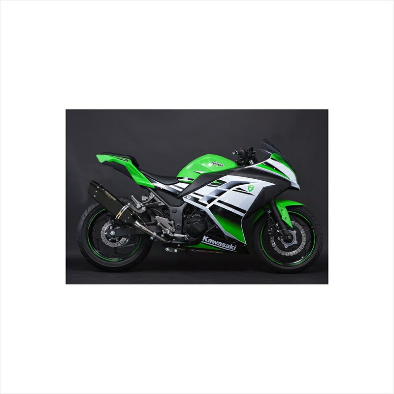 バイクパーツ マフラートリックスター レーシングS/O イカヅチブラックED RSS-015D-L4BT 4573269962243Ninja250 13-17