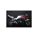 バイクパーツ マフラートリックスター 政府認証S/O イカヅチブラックED JSS-103-L4BT 4573269962328CB1300SB/SF 14-1...