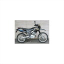 バイクパーツBEET(ビート) ナサート-Evo TYPE2 S/O ブルーTI 0228-KF4-BL4582346467069KLX230