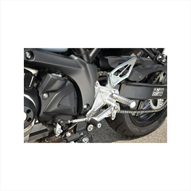 バイクパーツ ステップアグラス バックステップ 4P312-304-000 4549950501367SV650 ABS 16