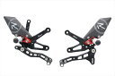 バイク用品 ステップライテック ライテック 可倒式ADJステップキット R-Ver BLK ZX-10R 16-19FTRKA006R 455025533454...
