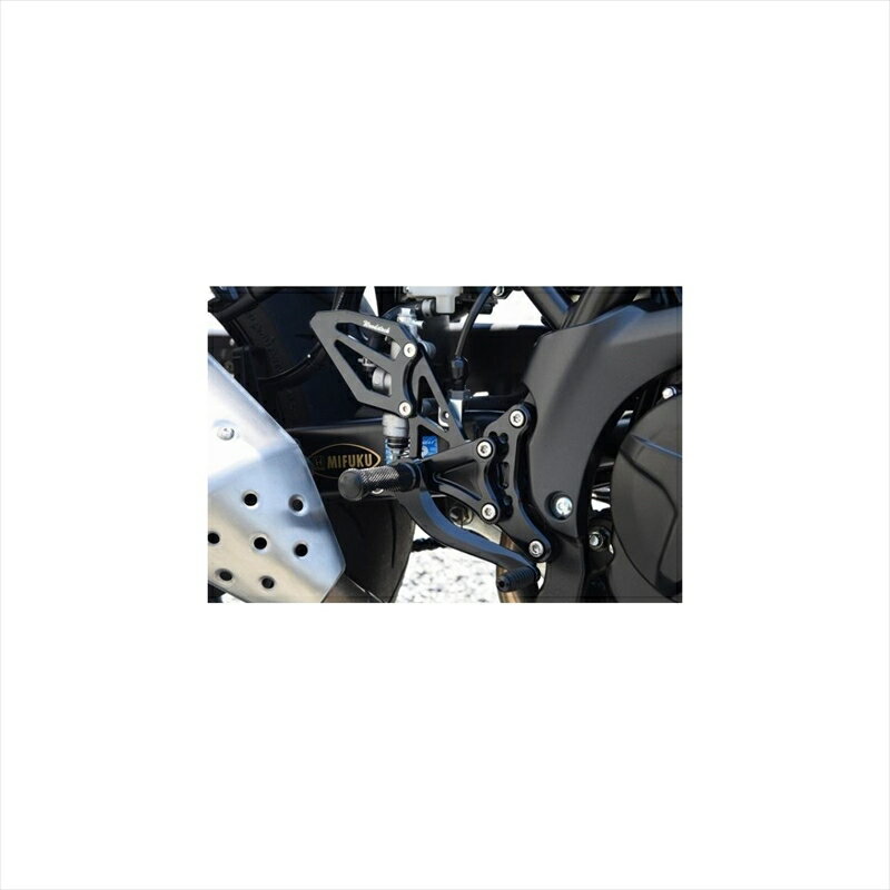 バイクパーツWOODSTOCK(ウッドストック) バックステップキット オールBLK WBS-S16-BB4550255439323SV650 ABS 16-