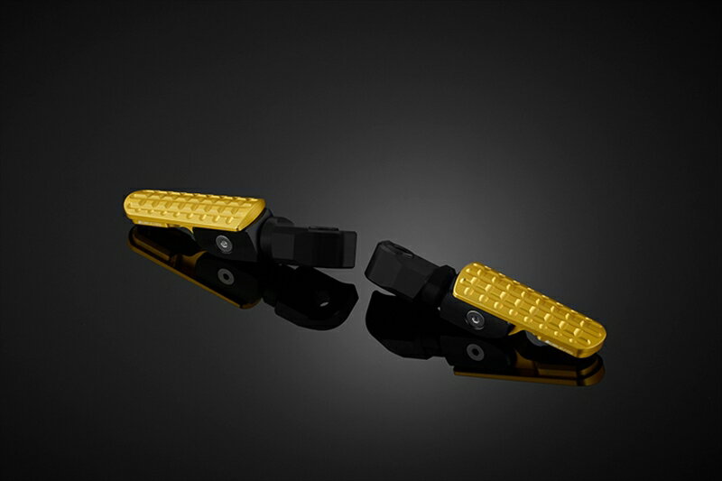 バイクパーツBIKERS(バイカーズ) タンデムステップ ライトゴールド Y0317-LGD4550255210717XMAX 18-24